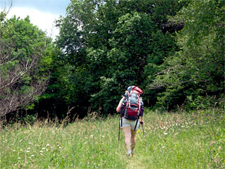 Creekside Chalet - Hiking Trails